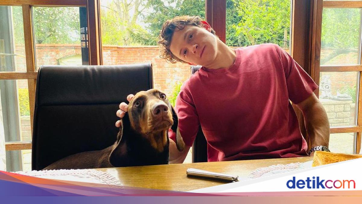 Jarang Makan Siang, Ini Kebiasaan Makan Tom Holland Sehari-hari!