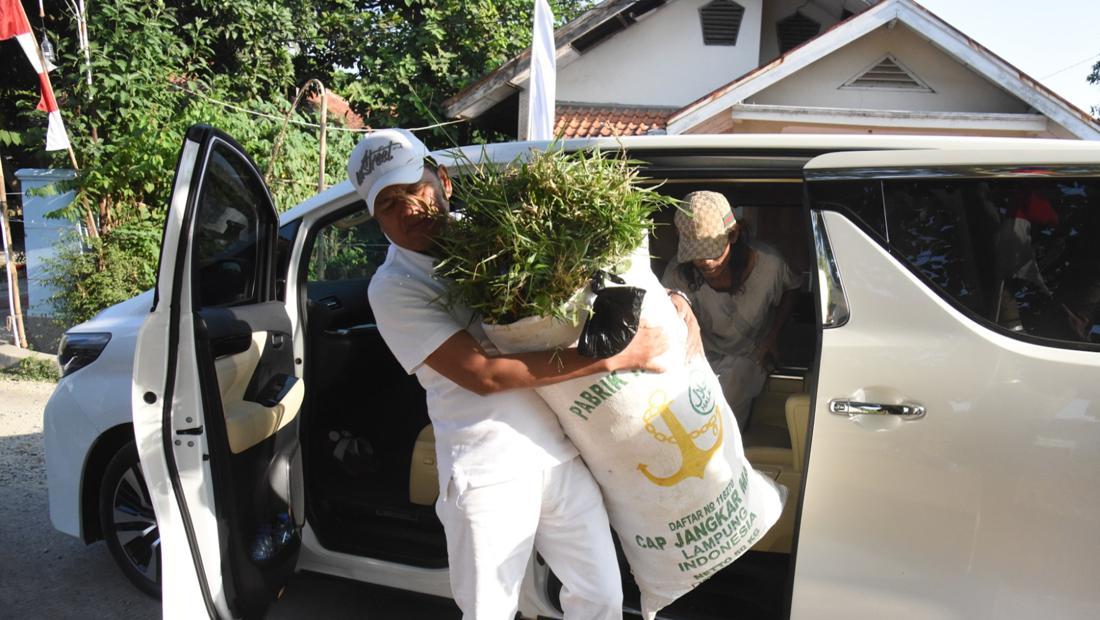 pemandangan langka alphard dipakai angkut rumput jollynews