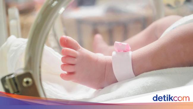 5 Kabar Anyar Bayi Meninggal Diduga Tertukar di RSIJ Jakarta