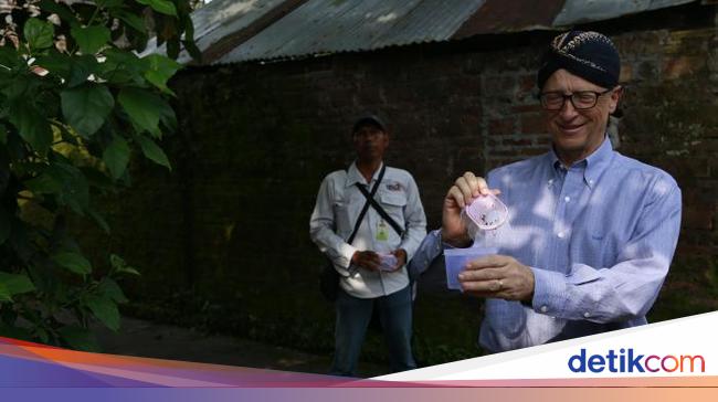 The story of Monthly bill Gates in Yogyakarta ridding the mosquitoes of dengue fever