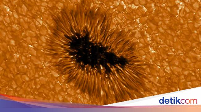 Earth-sized sunspots potentially threaten the Earth