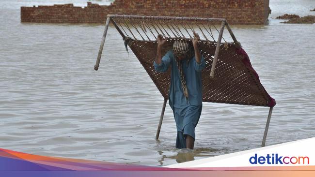 Intense floods in Pakistan and people scream for assistance