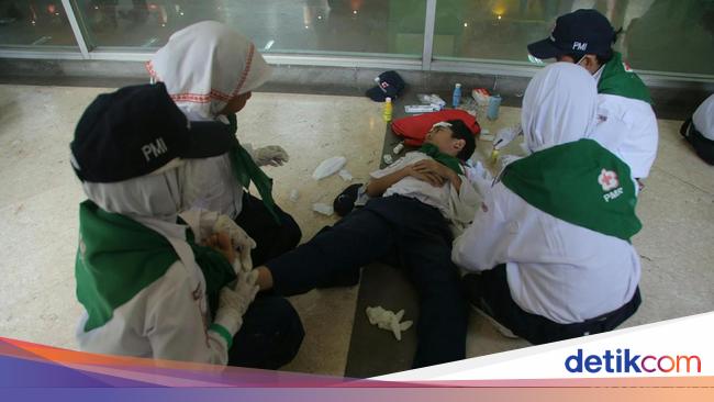 Apa Itu PMR dan Tugasnya? Peran, Fungsi dan Sejarah PMR