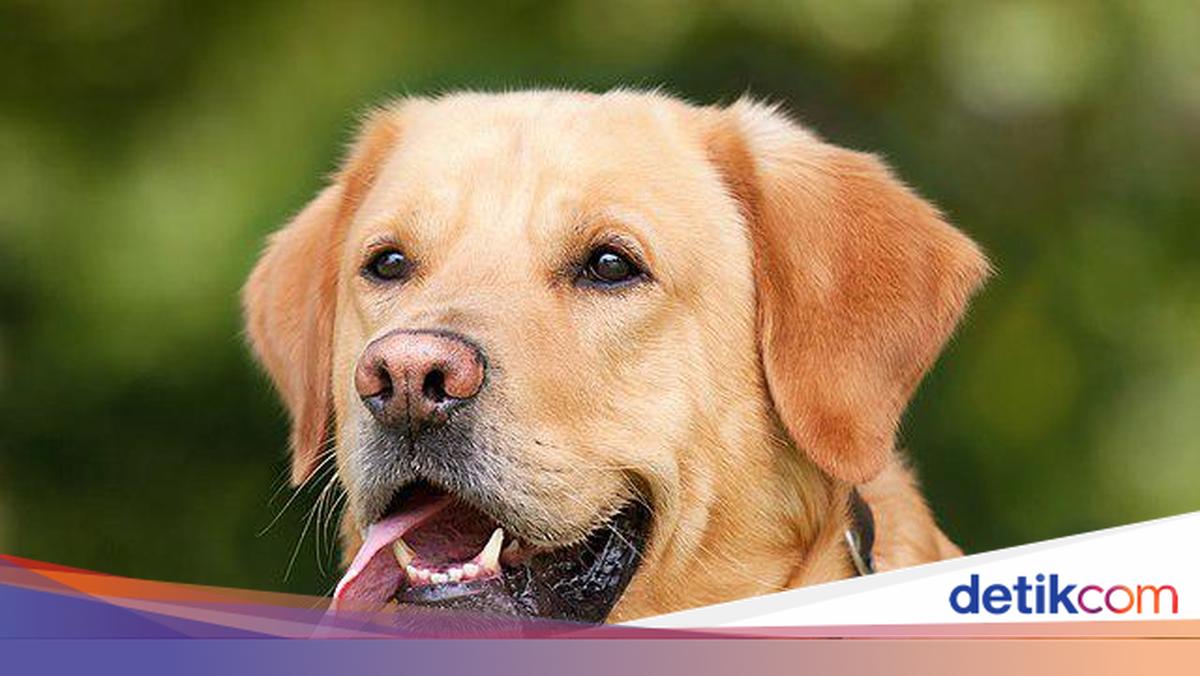 Katta sik bilan jinsiy aloqa porno videolarini korsatish Otlarni berish haqida oyinlar bormi?