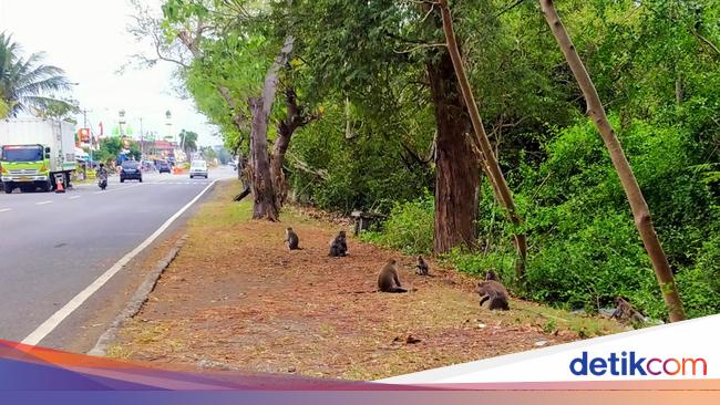 17 Objek Wisata di Jembrana Bali Terhits yang Wajib Dikunjungi