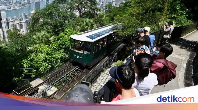 Terribly delightful!  Hong Kong opens the steepest automobile journey in the environment