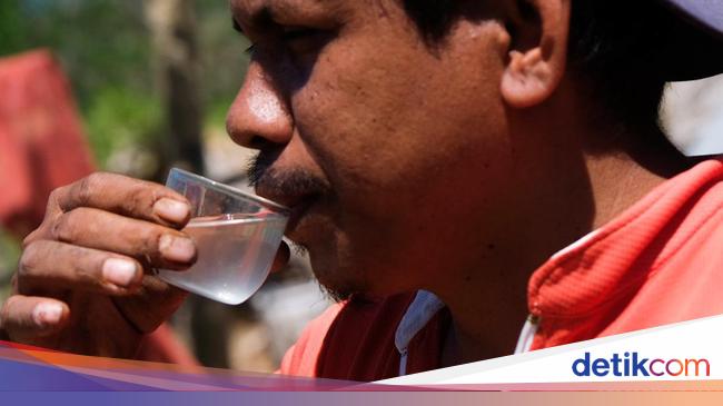 Di Wini, Sopi Jadi Minuman Simbol Perdamaian hingga Obat Kuat Lho!