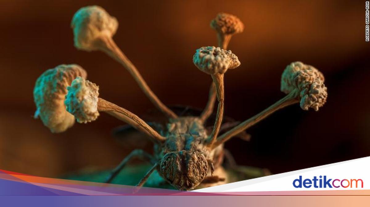 Da Vinchi pornosini onlayn tomosha qiling Yapon teleboshlovchisini efirda sikishmoqda.