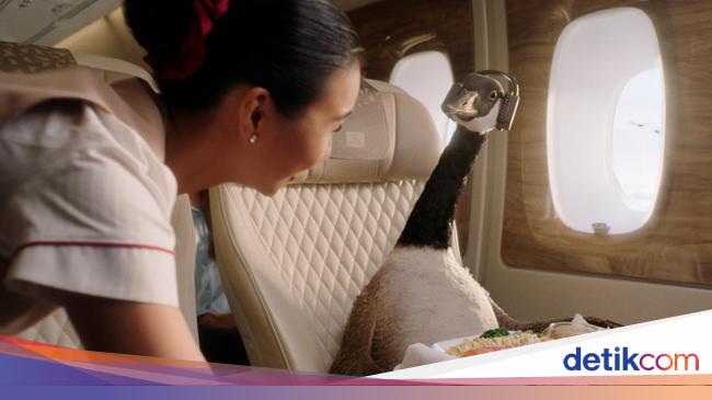 Get to know, meet Emirates’ new advertising star: Gerry the Goose