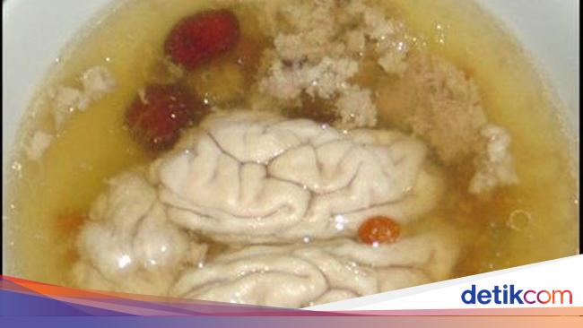 Menjijikkan Tapi 5 Makanan Ini Populer di Berbagai Negara