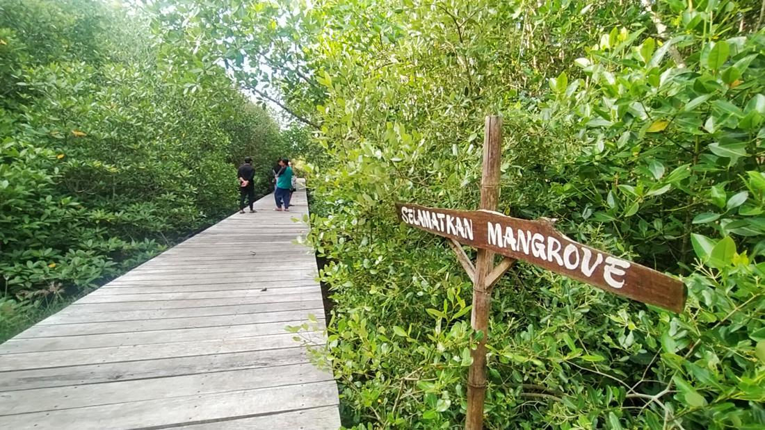 Ekowisata Mangrove Perancak, Wisata Trekking Di Tengah Hutan