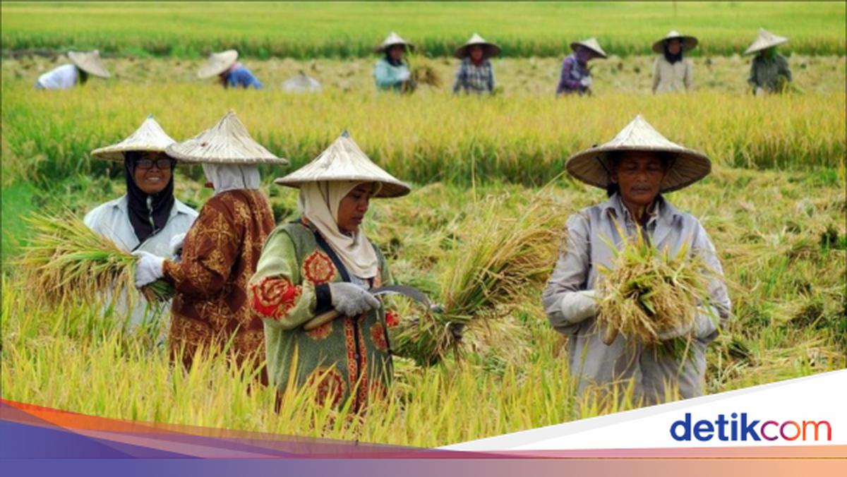 10 Link Twibbon Hari Tani Nasional 24 September 2022