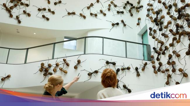 Hii Ngeri... Belanda Punya 'Semut Raksasa' dari Tengkorak Manusia