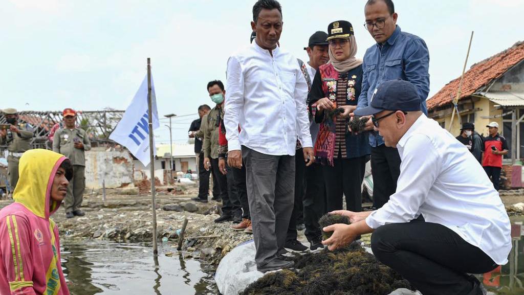 Kemenkop UKM Minta Koperasi Diperkuat Agar Bantu Industri Rumput Laut