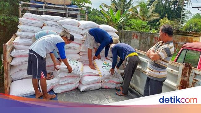 Penyaluran Pupuk Subsidi ke Petani Dikebut Pakai Cara Ini