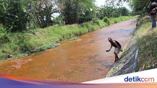 Lagi Sungai Mojoranu Di Jombang Berwarna Merah Darah