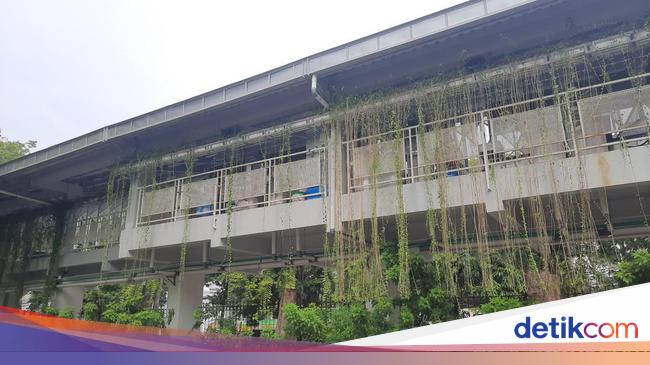 Tekan Emisi Karbon, Kementerian PUPR Dorong Pengembangan Perumahan Hijau