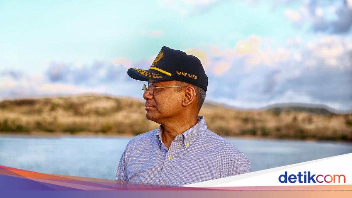 Profil Suahasil Nazara, Menteri Keuangan Baru Pengganti Purbaya