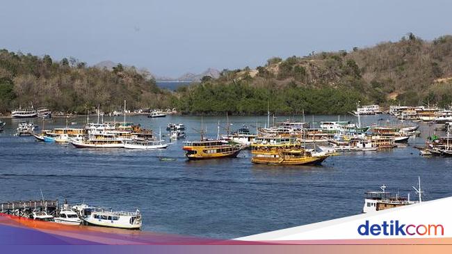 Tourist visits to Labuan Bajo have declined, regional revenues have declined severely