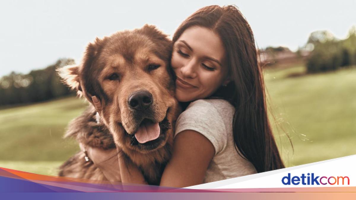Hari Rabies Sedunia 2022: Tema dan Sejarah Peringatannya