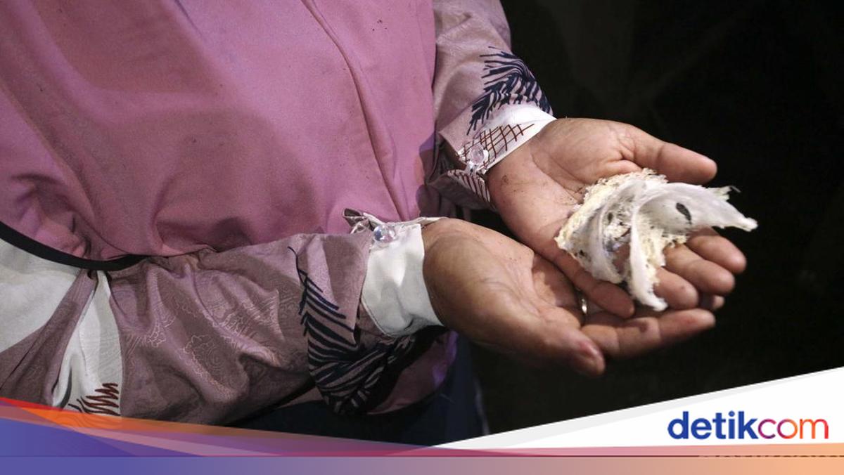 Walet Sapi Mengenal Burung Walet: Taksonomi serta Jenis dan Manfaat Sarangnya