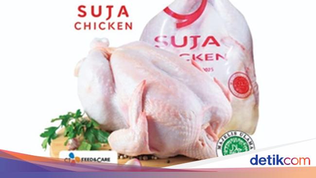 garap-pasar-ayam-ri-pt-suja-fokus-kembangkan-sistem-rantai-dingin