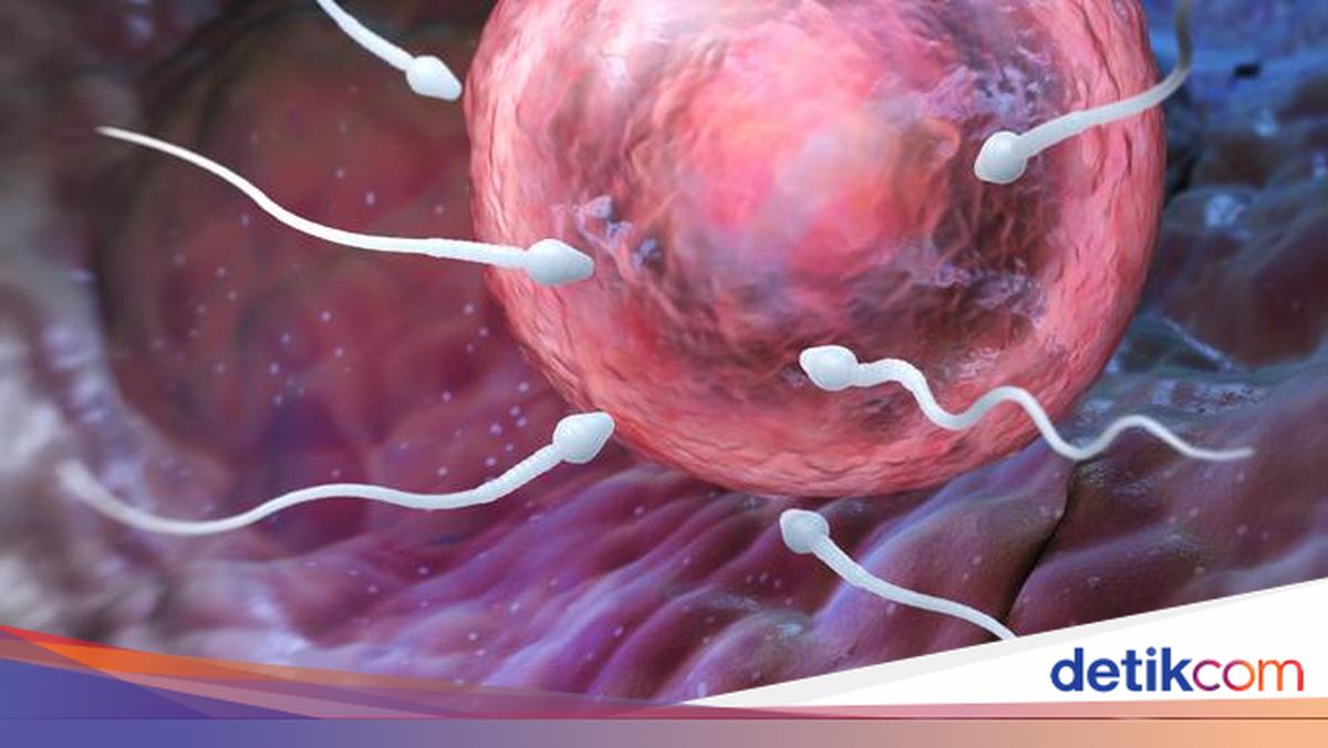 Yashirin kamera xususiy porno tomosha qilish