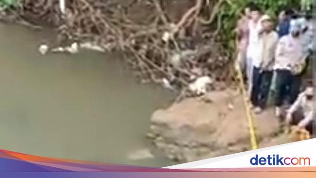 Orok Perempuan Membusuk Tersangkut Di Batu Gegerkan Warga Kuripan 8531