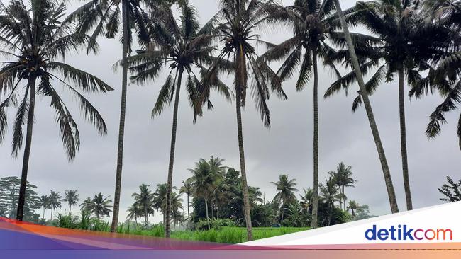 4 Fakta Unik Kuburan Hindu Bali dan Aturan Adatnya