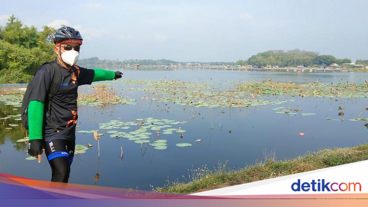 Danau Ranu Grati, Kecantikan yang Ternoda Eceng Gondok, Sayang Sekali!
