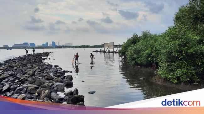 Bukan Cuma Ancol, di Jakarta Utara juga Ada Pantai Marunda