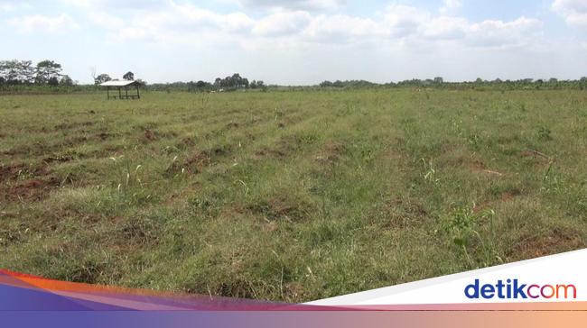 Jakarta Paling Mahal, Ini Daftar Harga Lahan Industri di Jabodetabek Terbaru