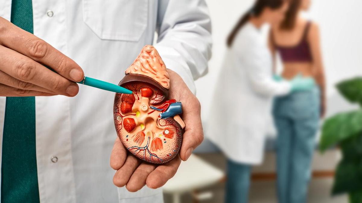 無視されることが多いこの訴えは腎臓がんの兆候である可能性があります