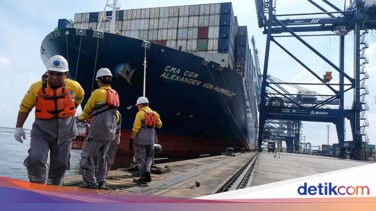 Ini Wujud Kapal Kontainer Terbesar yang Sandar di Pelabuhan Indonesia