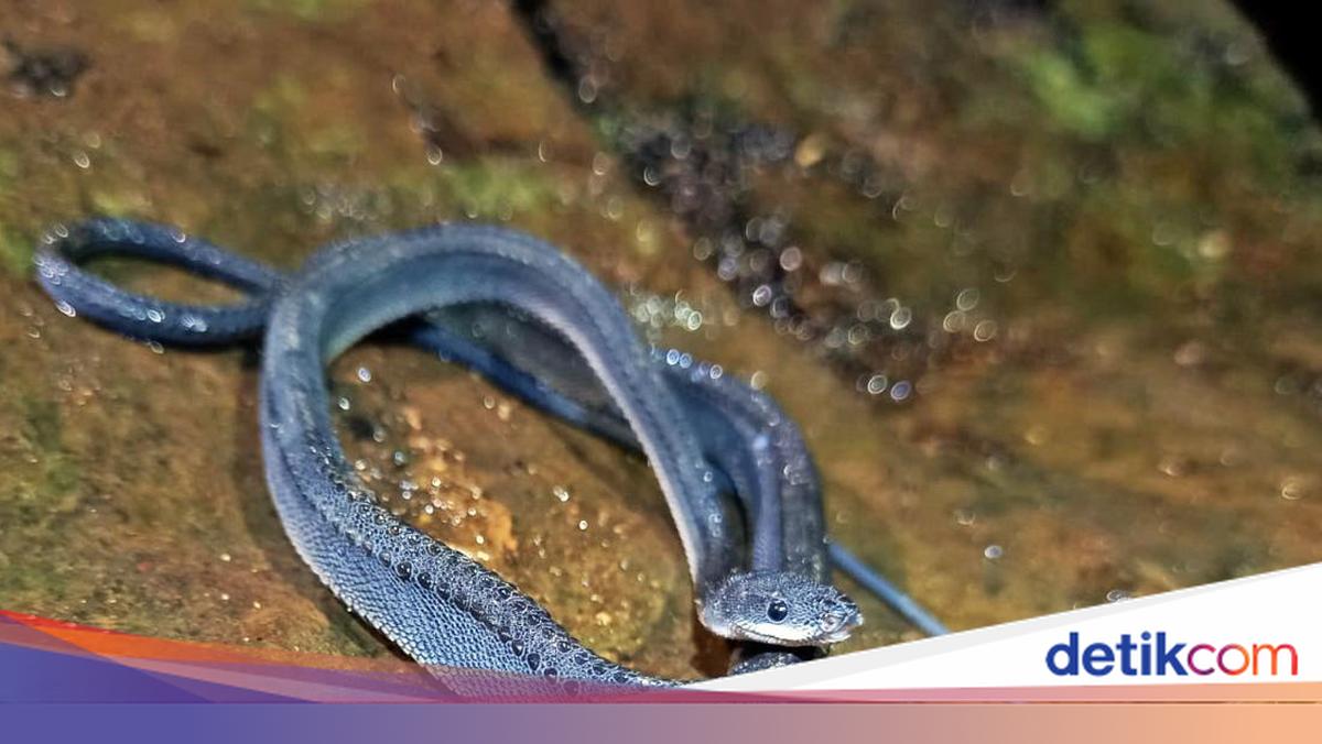 Ular vaginaga siyadilar Ular vaginaga siyadilar