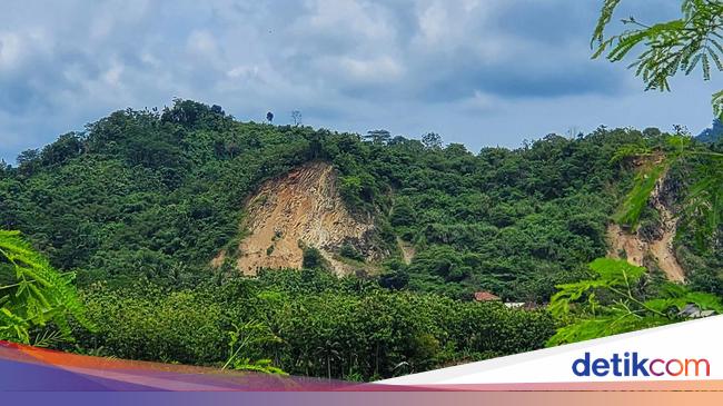 Macan Tutul yang Kabur dari Lembang Itu Hilang di Kaki Tangkuban Parahu