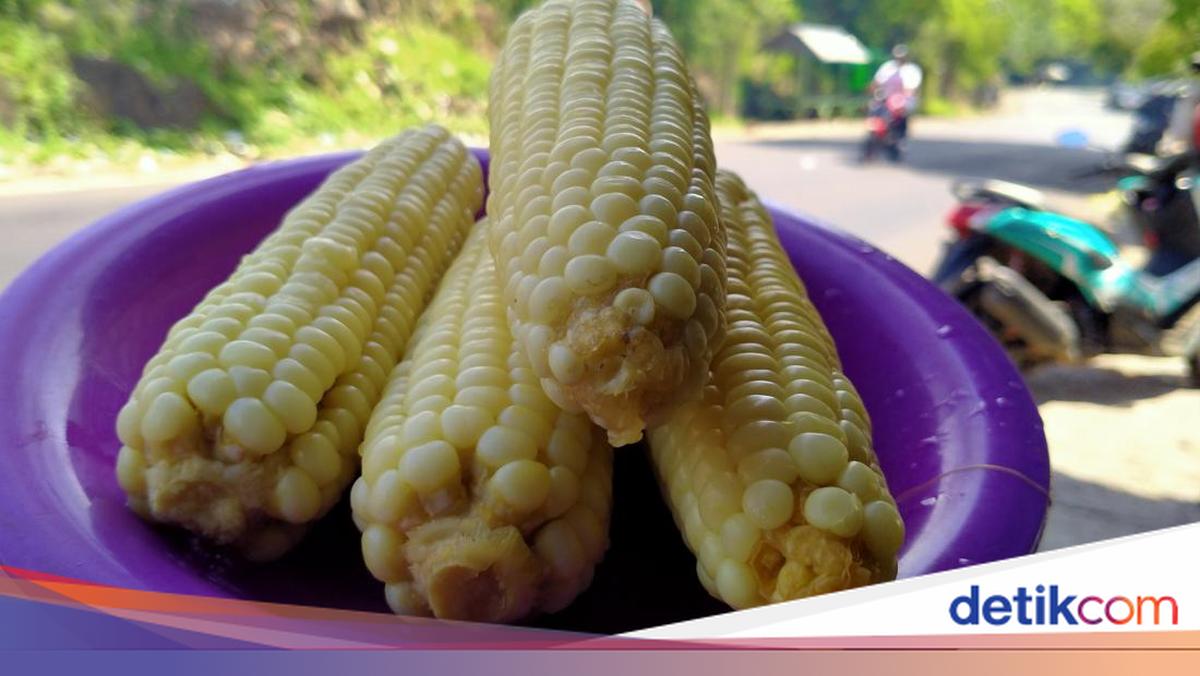 Makan Jagung Rebus Makin Nikmat Sambil Lihat Indahnya Tekasire