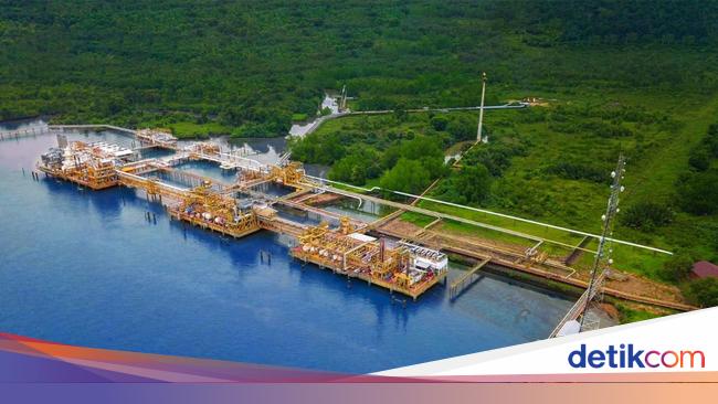 Pertamina Hulu Mahakam Mau Tekan Konsumsi Solar Pakai Ini