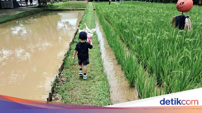 5 Tempat Back to Nature yang Ramah Anak, Murah, Sekitar Jakarta