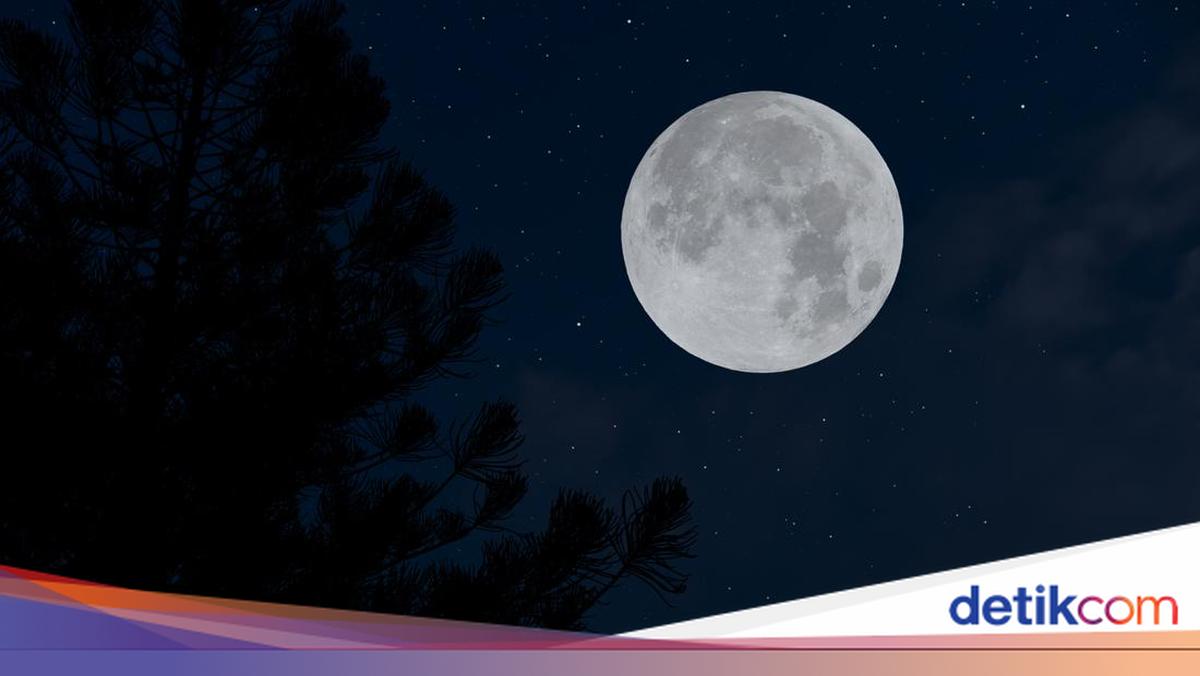 Ada Cold Moon 4-5 Desember, Simak Prakiraan Pasang Laut BMKG