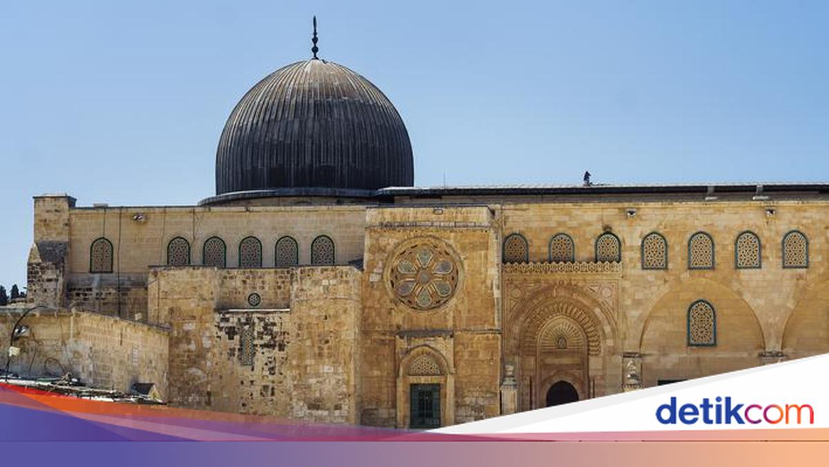 külot ichida eshak Gif