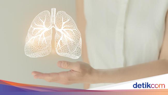 4 Ciri-ciri Paru-paru Sehat dan Tidak Sehat yang Wajib Diketahui