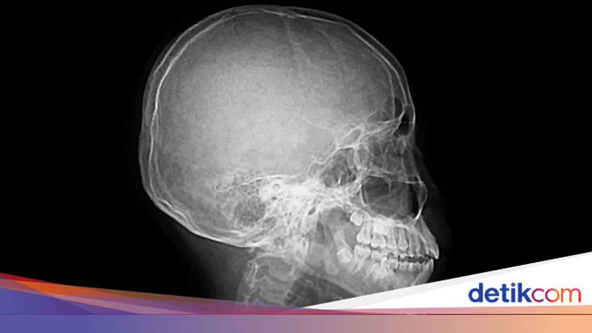 Kokraklar boyicha porno sperma