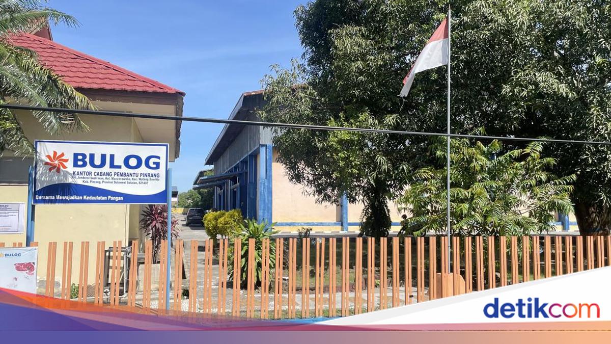 Kronologi Beras 500 Ton di Bulog Pinrang Hilang saat Pengecekan Gudang