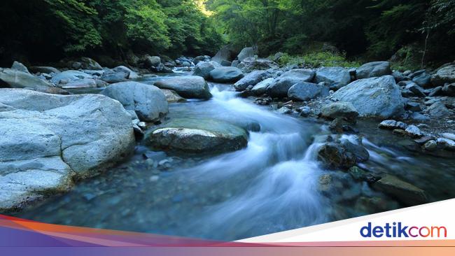 Hari Sungai Nasional 27 Juli 2025: Tema dan Cara Merayakannya
