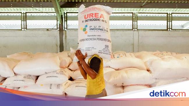 Puluhan Wilayah Lumbung Beras RI Kehabisan Pupuk Subsidi