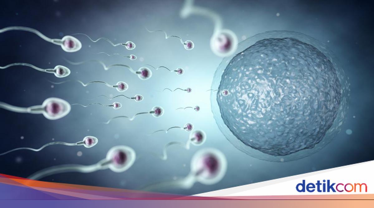 Sperma va kopirtirilgan qaymoq fotosurati Sperma va kopirtirilgan qaymoq fotosurati