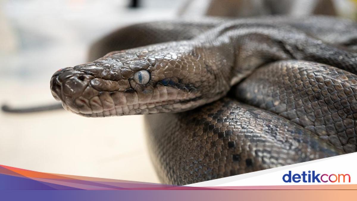 Qorda ochiq havoda qizlarning porno fotosuratlari