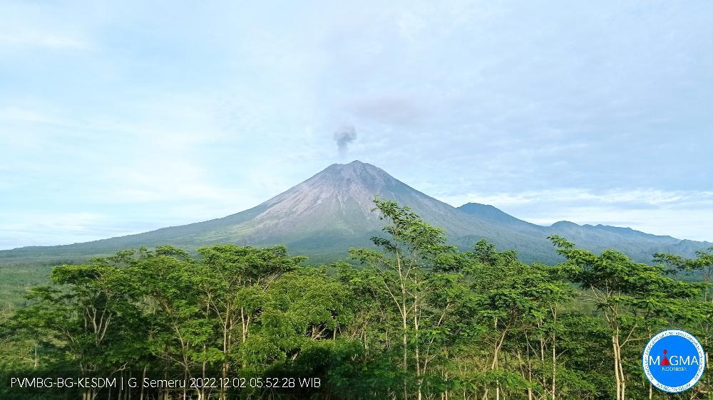 Semeru Keluarkan Abu Setinggi 500 Meter, Waspada Potensi Guguran Awan Panas