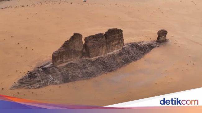 Sighting of a giant “fish” in the Saudi Arabian Desert Ocean